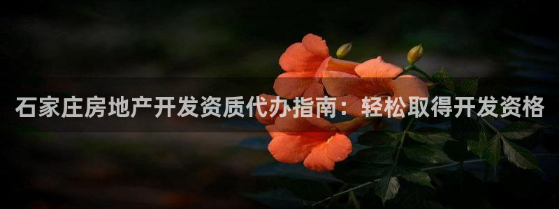 永利厂牌