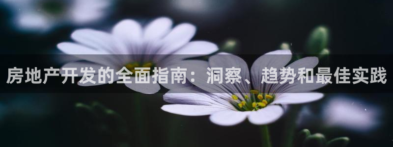 永利皮革有限公司
