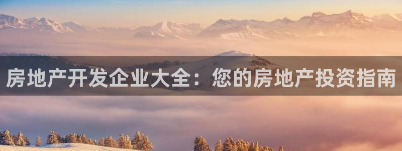 永利皮带报价