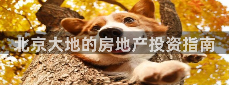 永利纺织