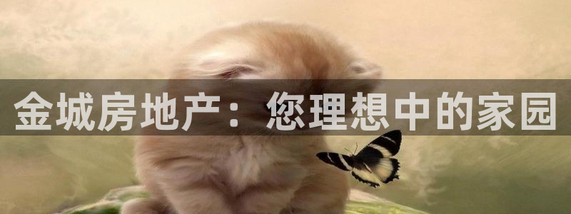 永利带业高管人员