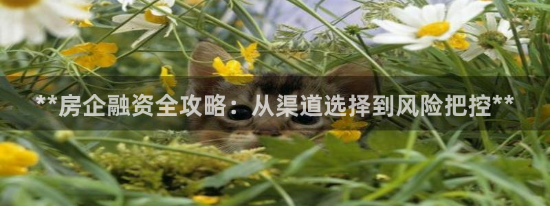 永利制版
