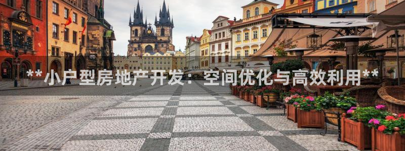 永利金文化有限公司