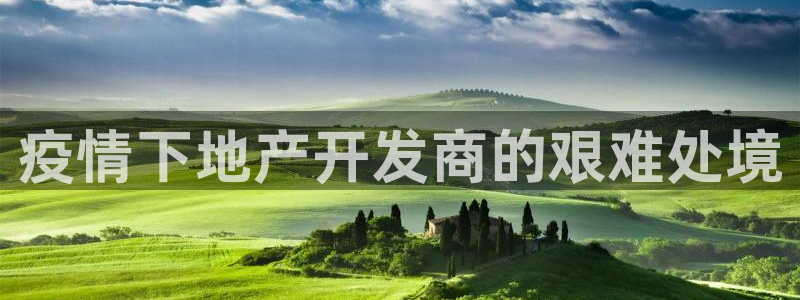 永利汇团购