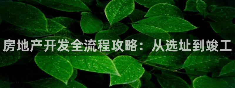永利来织带