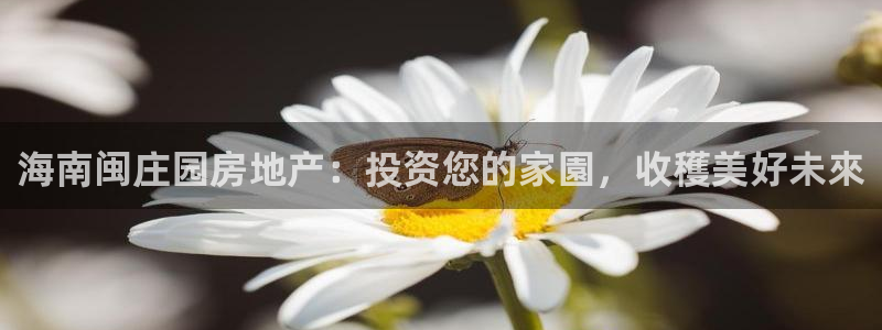 永利股份怎么样
