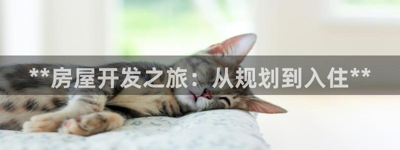 永利股份两大最新消息是什么