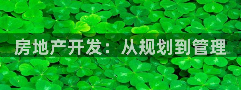 永利皮带型号