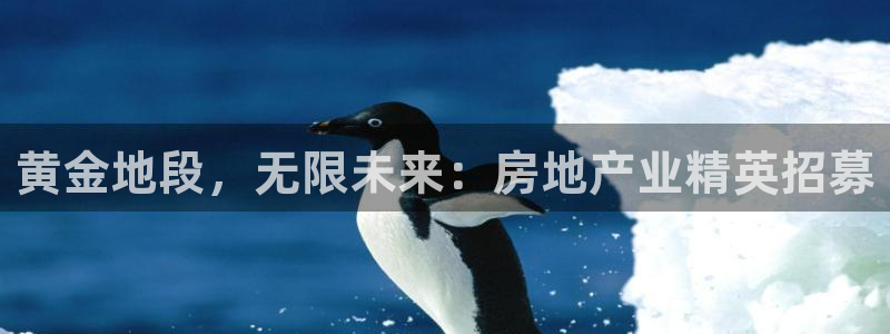 永利股吧
