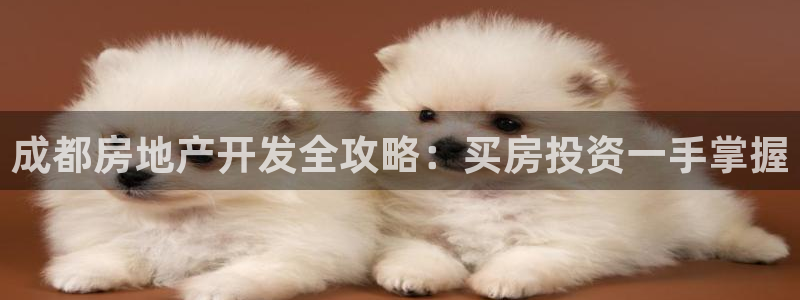 永利表业制品厂