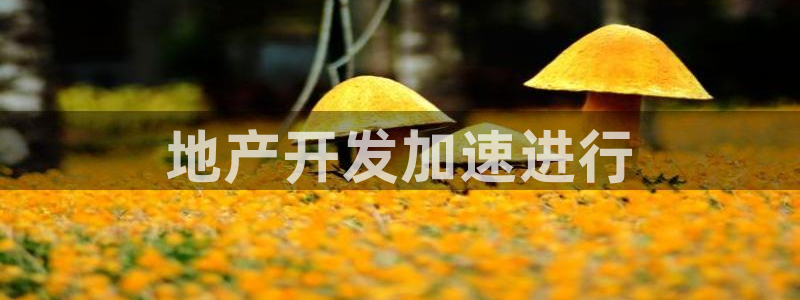 永利提不了款怎么办