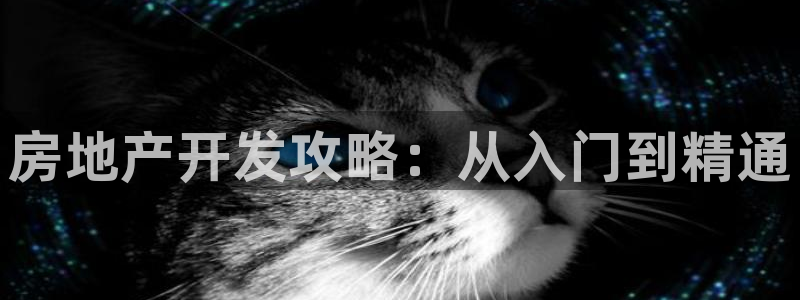 永利是做什么的