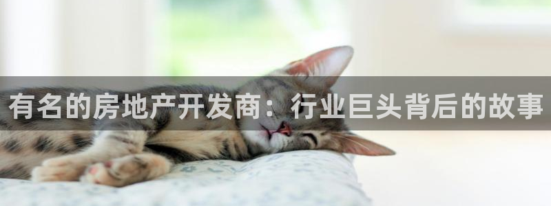 永利官网服务承诺在哪