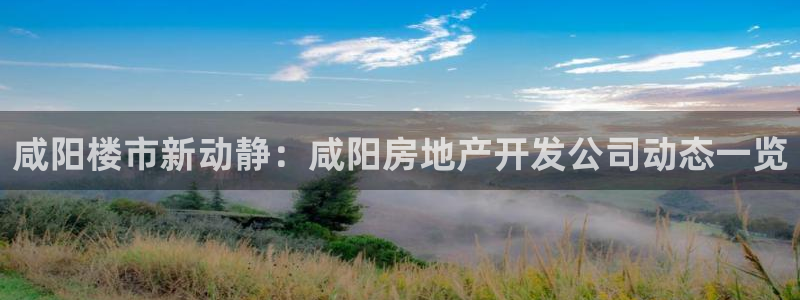 永利鞋业有限公司