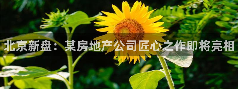 永利大酒店事件