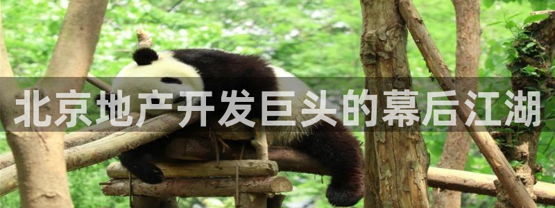 永利官网误乐域一个币多少钱