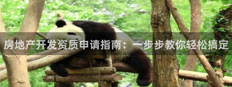 永利正版