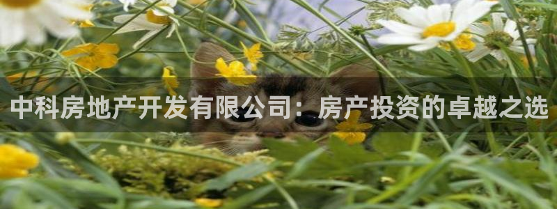 永利被黑不给出款解决方法