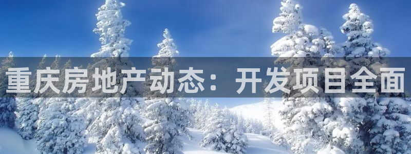 永利贴吧