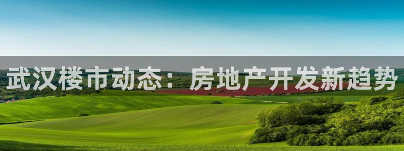 永利背一分什么价格