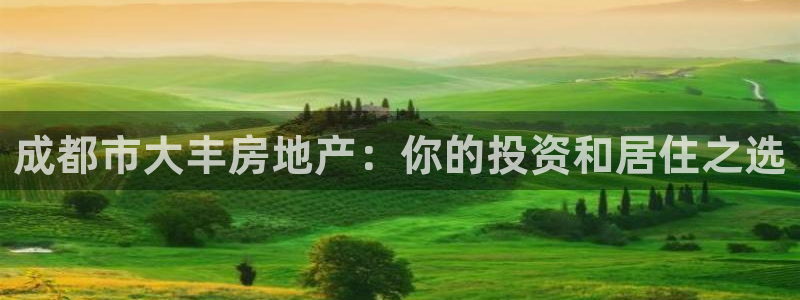 永利带业公司怎么样