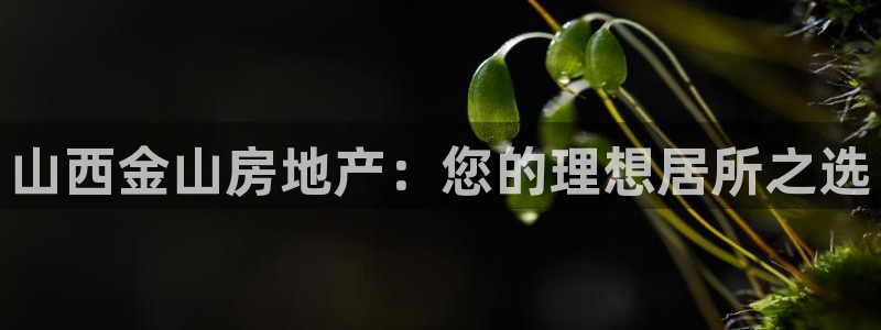 永利皇府黄立青简历