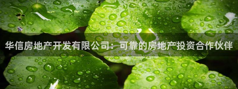 永利皮带型号说明图