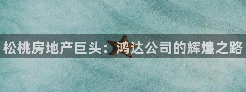 永利皮带型号