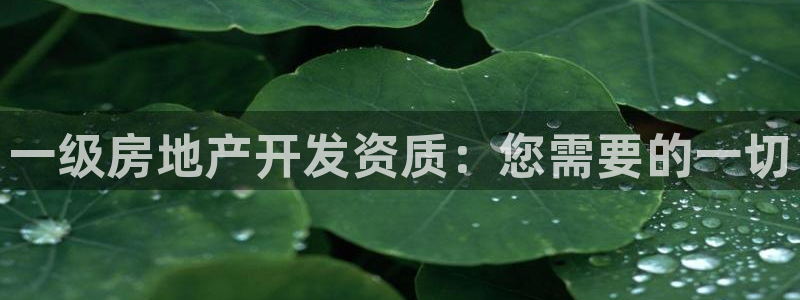 永利股份产品介绍