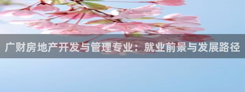 永利输的钱可以弄回来吗安全吗