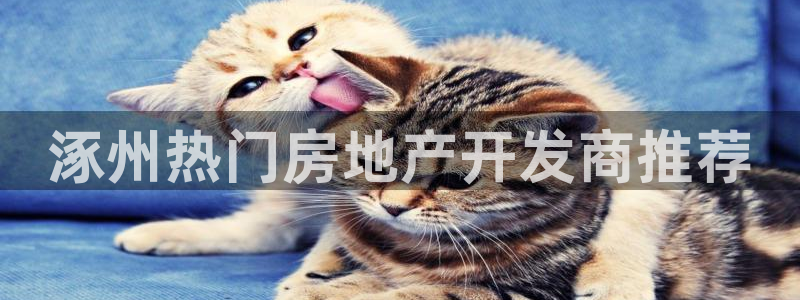 佛山王永利工业皮带有限公司