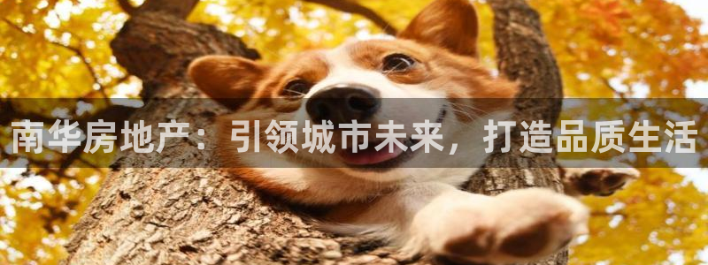 为什么永利网址打不开
