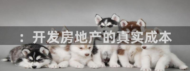 永利制衣厂