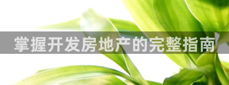 澳门永利误乐城图片