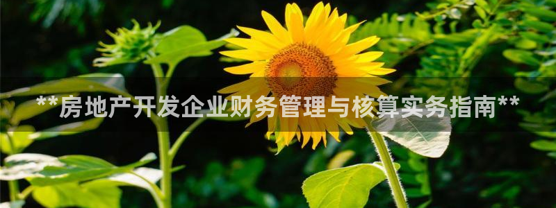 永利股份做什么