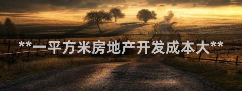 永利金控控股有限公司