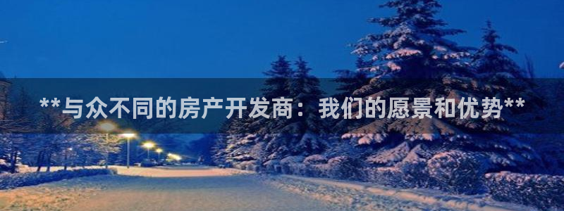 永利房地产有限公司董事长是谁