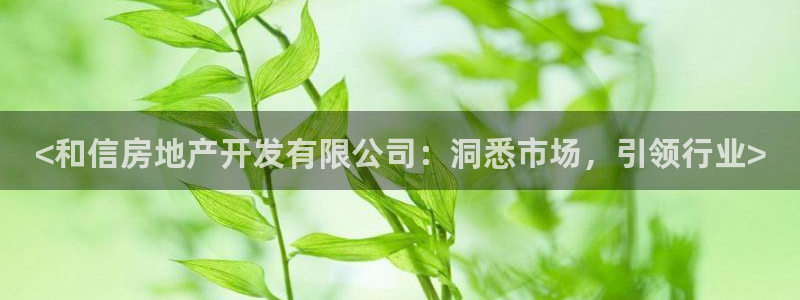 永利股份(300230)