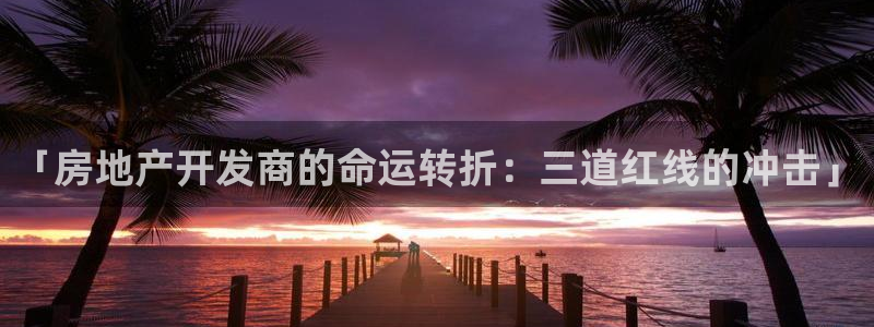 永利地产工程有限公司