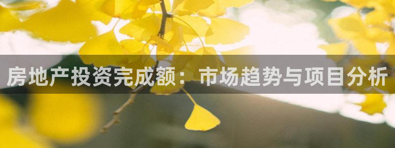永利集团官网总站