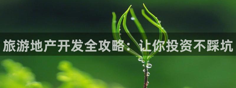 永利带业集团2020年的业绩状况
