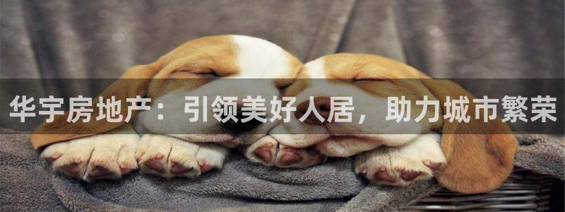 永利钱提不出来怎么办