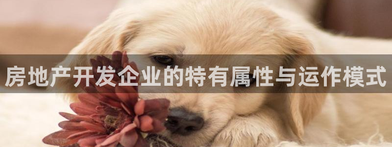 永利制品有限公司