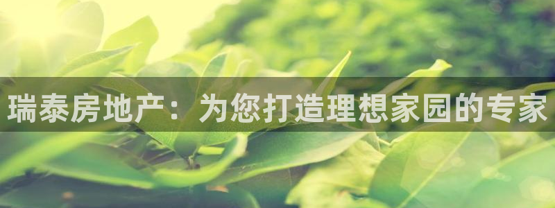永利网是干什么的,能挣到钱吗安全吗