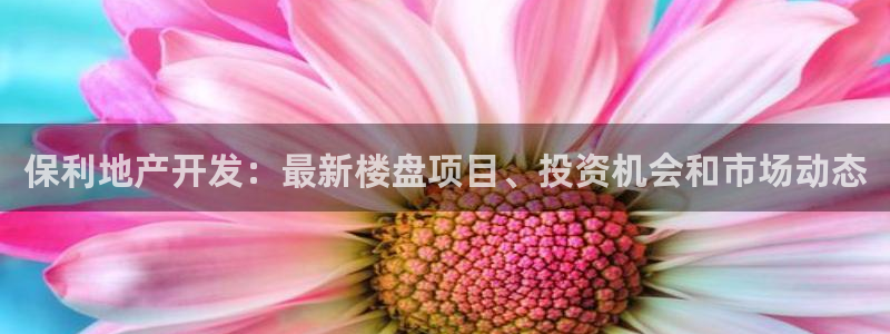 永利骗局