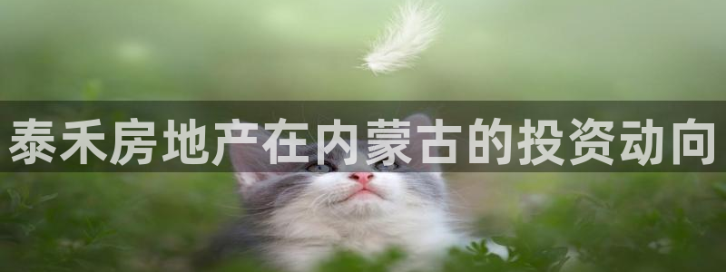 永利网是不是真的便宜