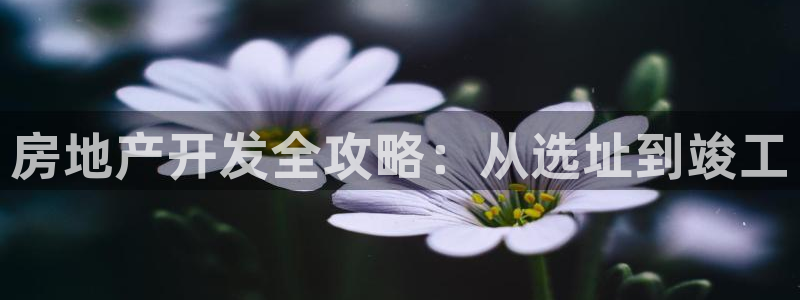 永利服饰有限公司