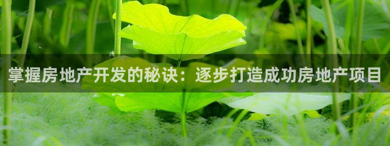 永利中国股票
