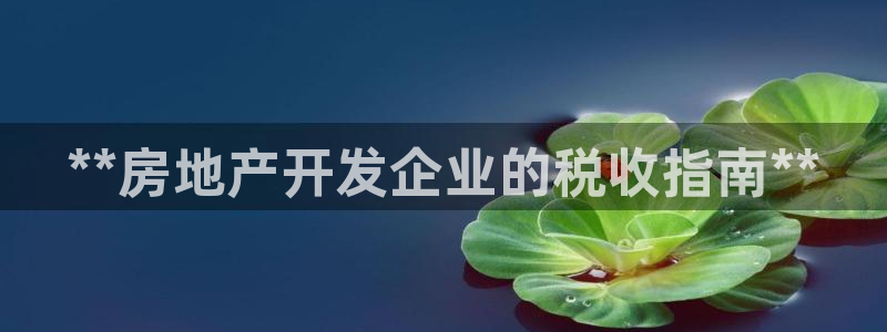 永利集团304am官方入口