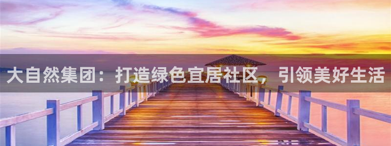 永利房地产有限公司
